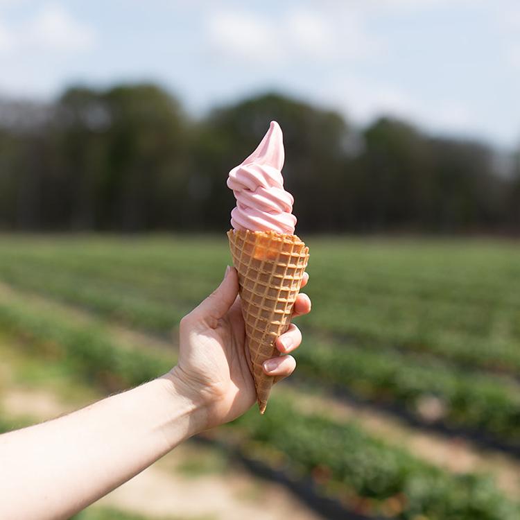 Certified Farm Market Spring Bucket List